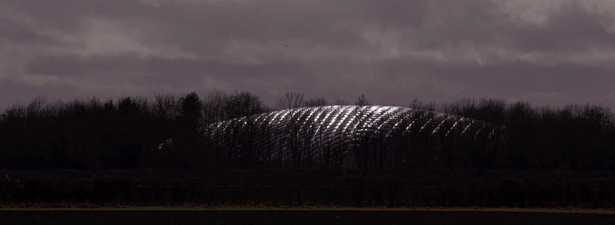 Immigration – The Modwines have arrived