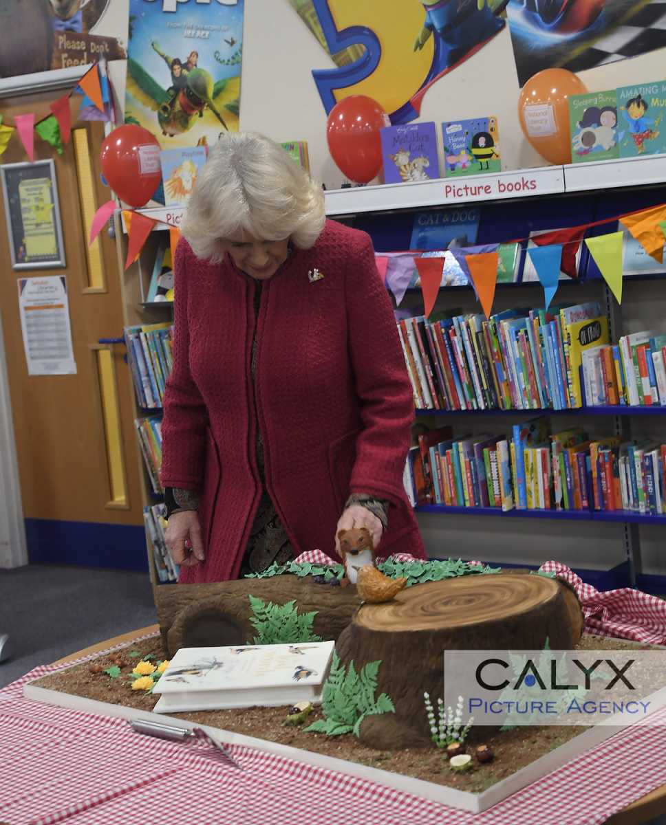 Camilla North Swindon Library 5353 Calyx