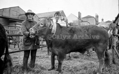 Swindon Market December 1985.