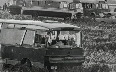 40 years ago the new age battle of Wiltshire took place in a bean field.