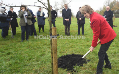 80 Oaks Labyrinth unveiled at Lydiard